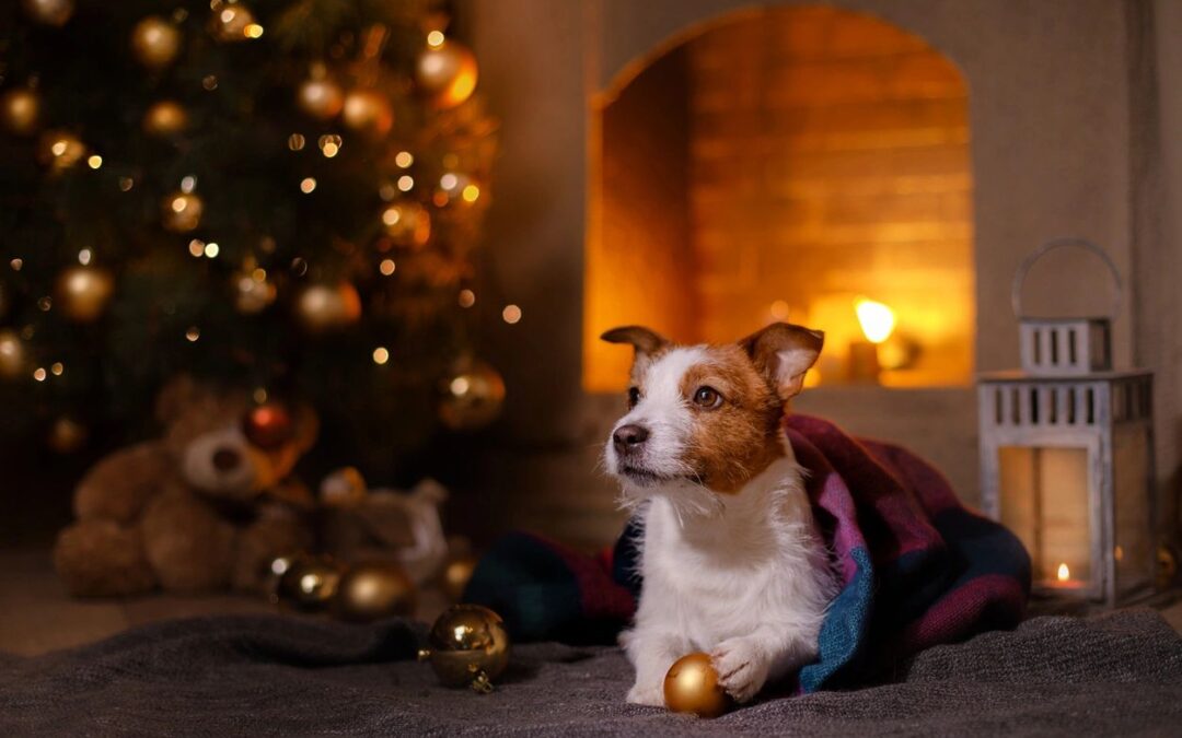 Stay Warm This Holiday Season and Beyond: Six Winter HVAC Tips